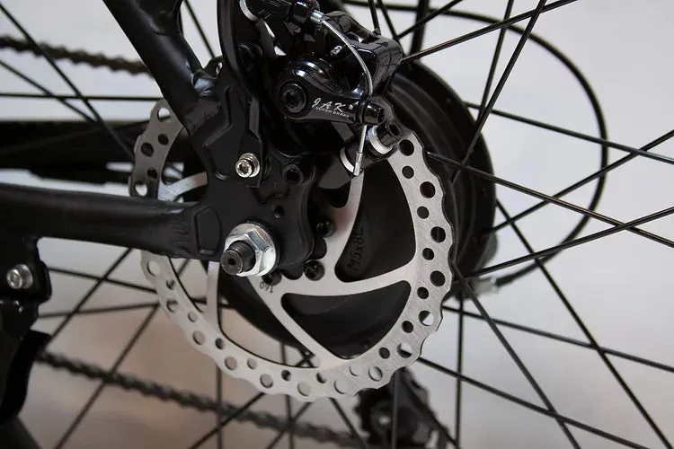 EWheels EW Rugged 350W 36V Electric Mountain Bike