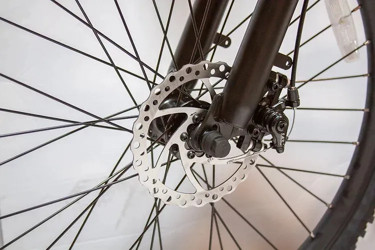 EWheels EW Rugged 350W 36V Electric Mountain Bike
