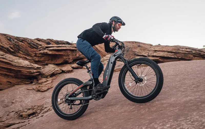 HeyBike - Hero (Hub-Drive)
