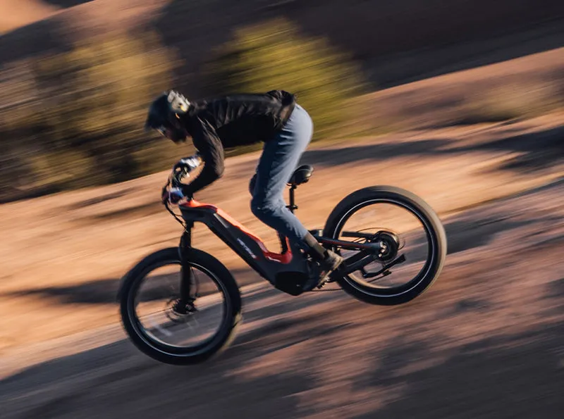 HeyBike - Hero (Hub-Drive)